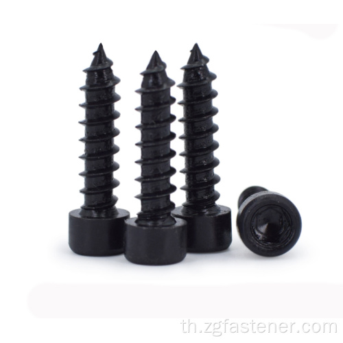 Socket Head Hex Tapping Screws Black Oxide